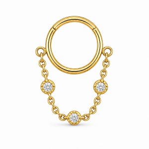 LGT JWLS Goudkleurige Segmentring Piercing met Ketting en Heldere Zirkonia voor Neus en Kraakbeen – 8mm