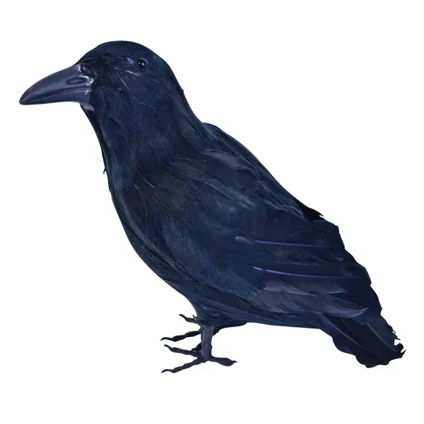 Zwarte decoratiekraai voor Halloween – 30 cm