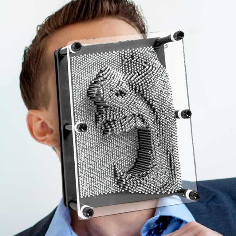 Pin Art XL – 20 cm – 3D spijkerkunst – Pinsculptuur