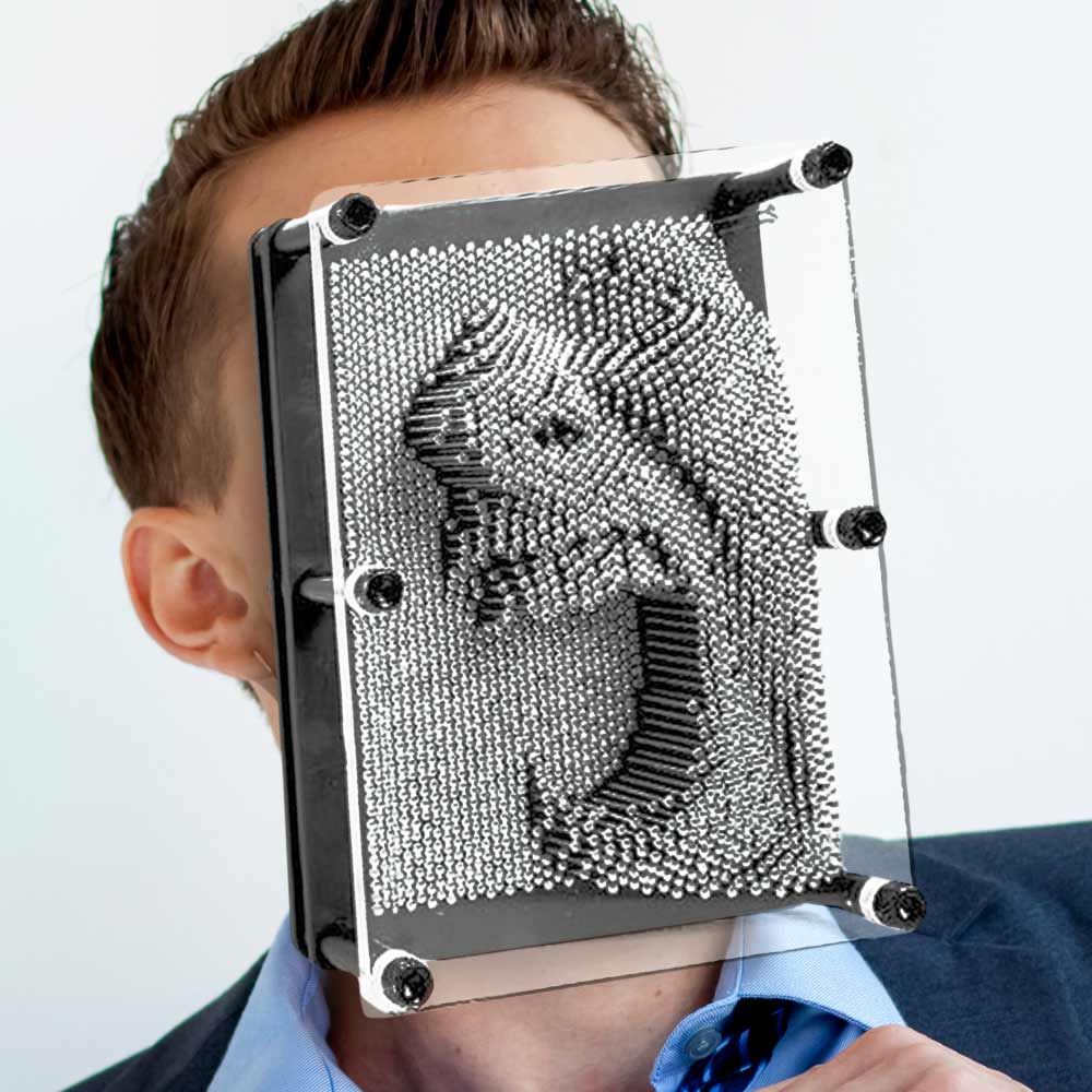 Pin Art XL – 20 cm – 3D spijkerkunst – Pinsculptuur
