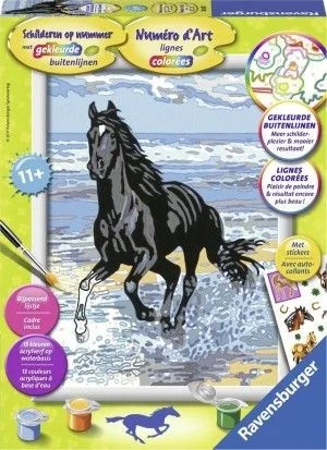 Ravensburger Schilder Op Nr Paard In De Branding